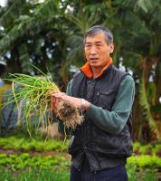 a man is holding a bunch of grass at Yunju House in Jiaoxi