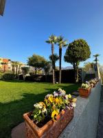 Zahrada ubytování Hotel Nessi Locarno