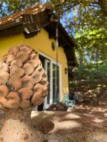 Plán poschodí v ubytovaní Cottage sotto il faggio centenario