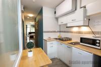 Kuchyňa alebo kuchynka v ubytovaní Tisza Gyöngye Apartmanok