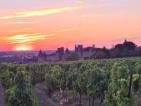 a vineyard at sunset with a castle in the background at Meublé de tourisme 4 étoiles Logis Riquet proche de Carcassonne in Caux-et-Sauzens