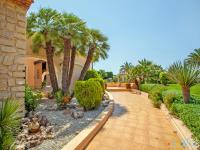 Zahrada ubytování VH CostaBlanca - COLISEO