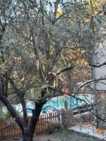Plán poschodí v ubytovaní Location villa var