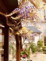 Vonkajšia záhrada v ubytovaní Hotel de la Sologne