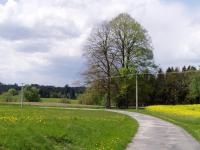 Příroda nedaleko aparthotelu