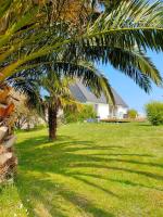a palm tree in a field with a house in the background at Calme et lumière à 2 pas de la mer in Plouescat