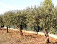 Vonkajšia záhrada v ubytovaní Proche GORGES DU VERDON, villa 8 pers avec piscine privée