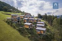 an aerial view of a group of houses on a hill at Alpenchalets Reiteralm by ALPS RESORTS in Schladming