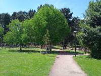 Vonkajšia záhrada v ubytovaní O Enxidro PLAYA, a 40 m de Playa Jardín