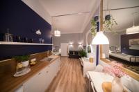 Kuchyňa alebo kuchynka v ubytovaní Roller Aparthotel