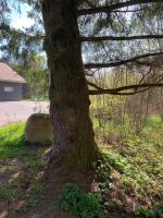 Vonkajšia záhrada v ubytovaní La cabane des écureuils