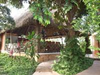 a building with a thatch roof and a tree at Ecotel Quinta Regia in Valladolid