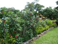 a garden with a bunch of plants with red flowers at Ecotel Quinta Regia in Valladolid