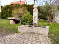 Ogród w obiekcie Maison de charme à Wuenheim avec jardin et terrasse