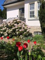 Zahrada ubytování Villa Rosa - Garden