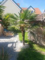Vonkajšia záhrada v ubytovaní Ferienhaus Apetlon