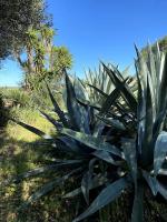 Plán poschodí v ubytovaní Finca Casa Farah