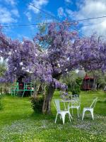 two chairs and a tree with purple flowers at Azienda agricola Della Mezzaluna in Stiava