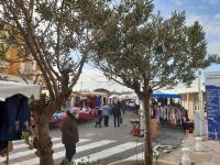 Hostia v ubytovaní Superbe T2 climatisé avec terrasse et parking, à 400m de la plage - 4P - Port Leucate - FR-1-727-6