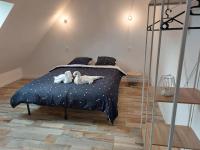 Půdorys ubytování Jolie maison entre Terre et Mer