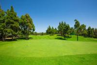 Golf pri vile alebo okolí