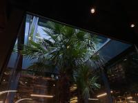 una palmera frente a una ventana en Glarros OldTown, en Tiflis