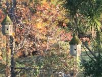 Maddisons Garden Guest Suite - Coatesvilleにある庭