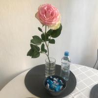 Nápoje v ubytování Apartament Warecka