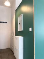 a kitchen with a green wall and a refrigerator at joli appart au centre de Lyon in Lyon