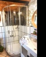 a bathroom with a shower and a sink at Casa Aguar: Acogedora casa de invitados en el bosque in Barrial
