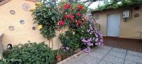 A garden outside Casa in giardino