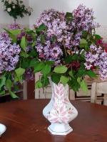 a white vase with purple flowers on a table at La Volière in Champigny-sur-Veude