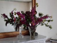 two vases with flowers on a table in front of a mirror at La Volière in Champigny-sur-Veude