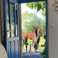 two horses are standing outside of a door at Vue du chateau a La Petite Ferme d&#39;Alpacas in Sanzay