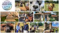 a collage of pictures of people and animals at Vue du chateau a La Petite Ferme d&#39;Alpacas in Sanzay