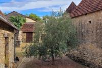 a tree in an alley between two buildings at Maison périgourdine avec vue et piscine chauffée in Peyzac-le-Moustier