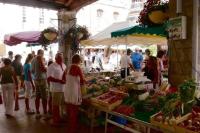 Hostia v ubytovaní Anduze Gîte Les Pins au "Petit Clos des Cigales"