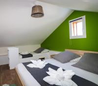 two beds in a room with green walls at Village Drôles d&#39;Oiseaux in Le Teich