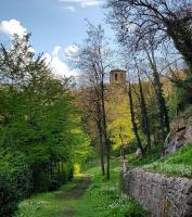 a path with a stone wall and a tower on a hill at Bel appartement, 2 chambres, centre ville in Thiers