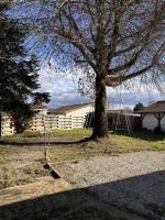 a tree in a yard next to a white fence at Maison de vacances Bisca in Biscarrosse