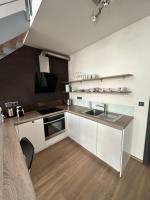Kuchyň nebo kuchyňský kout v ubytování Apartments Palmovka