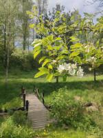 Vonkajšia záhrada v ubytovaní Lusatia Farm