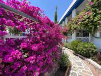 Zahrada ubytování SCALA APARTS & STUDIOS - Rhodes