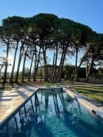 a swimming pool with trees in the background at La Pavoyère in Mormoiron