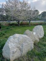 Vonkajšia záhrada v ubytovaní Abruzzo - Teramo tra Mare e Monti