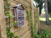 a wall with a bird feeder and a plant at C La Belle Vie in Pessac