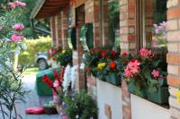 Castrum Camping & Pension في هفيز: حفنة من الزهور في الأواني على جانب المبنى