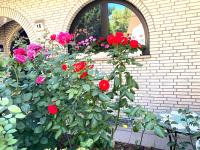 a bush of red roses in front of a building at VILLA ORCHARD Frankfurt in Zeilsheim