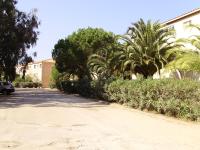 a street with palm trees and a building at Appartement F1 Calvi à 150 mètres de la plage in Calvi