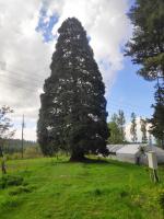 Tangmarg Lodge - Housity